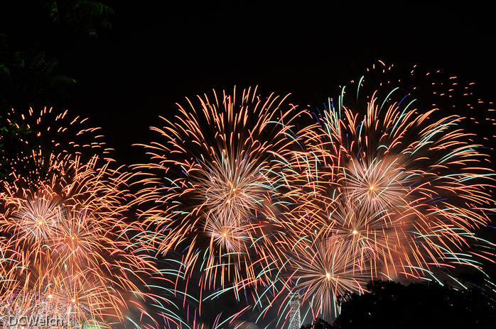 Bastille Day Fireworks